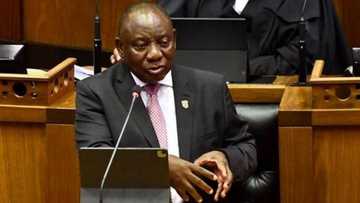 President Cyril Ramaphosa wants land restitution and redistribution issue sped up