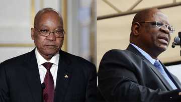 Mzansi reacts as Zuma declares he will not attend Zondo Commission