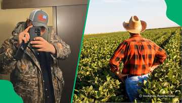 "We're now a garden service": Afrikaner farmer in USA complains about working the land