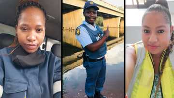 "A job is a job": Mzansi peeps show off their main hustle with pics of themselves after blue collar lady starts workplace pic challenge