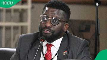 Ad Hoc Committee: Sauls presents claims against KZN hawks and general Mkhwanazi