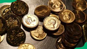 New and old SA coins exchange price list 2024: worthy investments for cash