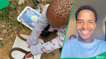 "I'd be running": KZN 2-year-old capturing a snake in a plastic container spooks Mzansi