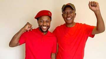 Mzansi questions and reacts to Mbuyiseni Ndlozi: "panic buying is the same as looting"