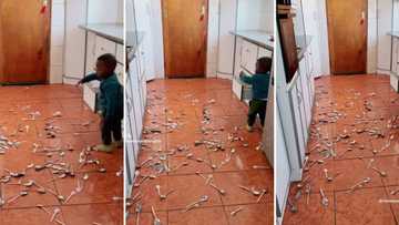 Toddler keeps busy by taking out countless spoons from kitchen cabinets