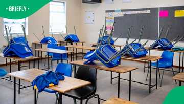 North West High Court rules that English-speaking children remain at Afrikaans-only school