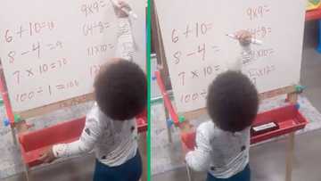 TikTok's toddler math whizz video trends, 15.2M people stunned by 2-year-old's skills