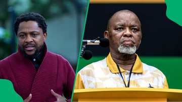 Mbuyiseni Ndlozi shades Gwede Mantashe over antics at ANC’s 114th anniversary, SA agrees: “Stealing as always"