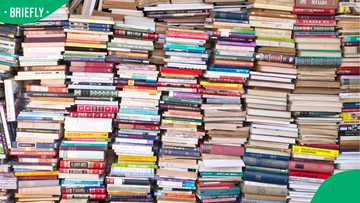 SA author Coral Hart slams critics after selling 1 million AI-assisted books despite massive outrage