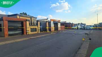 Westbury shooting: Police arrest three teenagers linked to fatal gang-related mass shooting