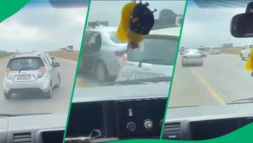 Alleged taxi association vehicle filmed terrorising motorist, clip of erratic swerving causes panic
