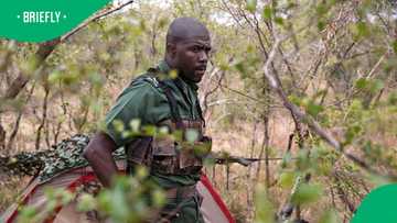 Kruger National Park rangers kill alleged poacher, arrest 1, while a third escapes