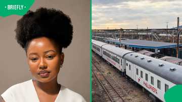 Mzansi gets rare look inside Phelophepa train as viral video sparks memories