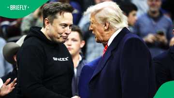 “What a messy breakup”: SA entertained by Elon Musk and Trump’s juicy scandals after major fallout
