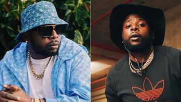 DJ Maphorisa plugs Andrea The Vocalist, video of 13-year-old Zim boy's vocal talent impresses Mzansi: "Yvonne Chaka Chaka 2.0"