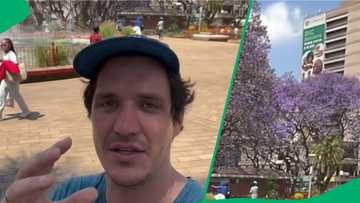 Visitor in Zimbabwe sparks debate as he praises Harare Gardens