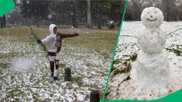 Snowman phara and other hilarious snow creations leave SA thoroughly amused by photos