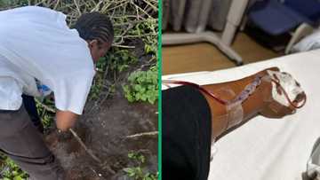 Woman lands in hospital after drinking from stream: "It’s healthy, I thought"