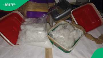 South Africans outraged as foreign nationals nabbed in R350M drug bust in Mpumalanga