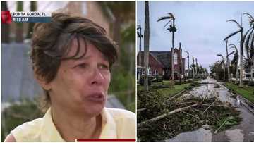 American Woman Secures Paralysed Husband to Hospital Bed During Hurricane: "Don't Want Him to Die"