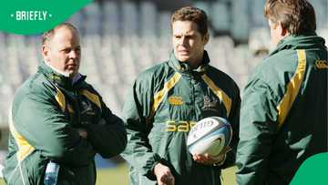 Former Springboks head coach set to land a new job overseas