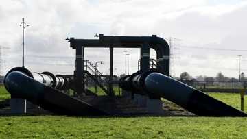 Netherlands halts extraction from Europe's biggest gas field