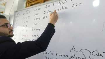 Syrian medical students study German in hopes of move abroad