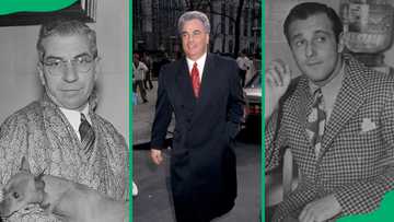 11 most famous mobsters who made history: Top names you should know