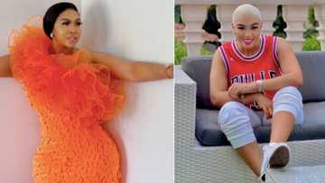 'RHOD' trends, Ayanda Ncwane says she's ready for another baby