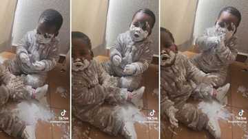 Twin toddlers caught red-handed playing with white gooey substance, SA gushes over video