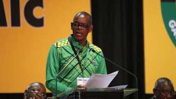 Ace Magashule to decide which corruption reports ANC will investigate