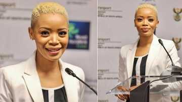 Fikile Mbalula's stunning spokeswoman Ayanda Allie Paine steps down and Mzansi reacts