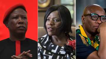 FW De Klerk: Malema posts cryptic tweet, Zizi Kodwa and Thuli Madonsela trend online after de Klerk's death