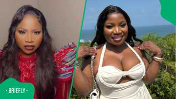 Motorist in Makhadzi accident allegedly opens case of reckless driving at Limpopo Police Station