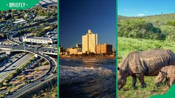 What is the richest province in South Africa in 2025? Top 9 rich SA provinces