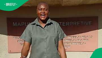Conservationist shares details for free entry to South Africa's national parks