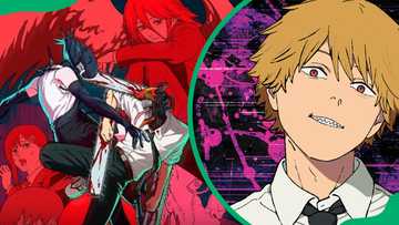 Who does Denji end up with in Chainsaw Man: Reze, Asa, or neither?