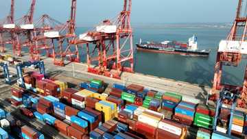 China says exports rise for first time in seven months