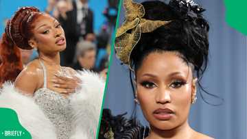 Nicki Minaj targets Megan Thee Stallion again, netizens weigh in: "She is so weird sometimes"