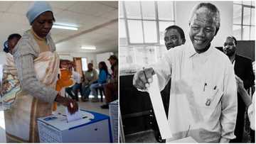 This day in history: South Africa's 1st multi-racial elections start