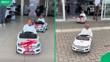 "Just absolutely adorable": 1-year-old twin boys in Mossel Bay get their first Toyota cars