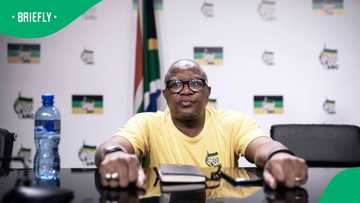 Fikile Mbalula taken to High Court over ANC list exclusion of Andile Lungisa