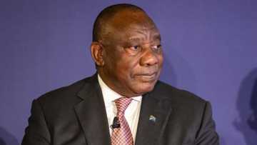 Ramaphosa decides not to challenge Section 89 report on Phala Phala, SA weighs in