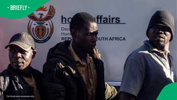 "By birth, descent or naturalisation": Birthright citizenship explained for SA parents