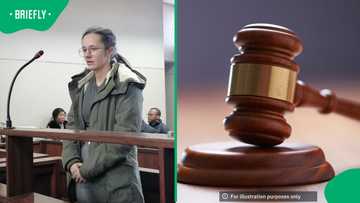 Emfuleni fraud investigation widens as Janita van Reenen at the centre