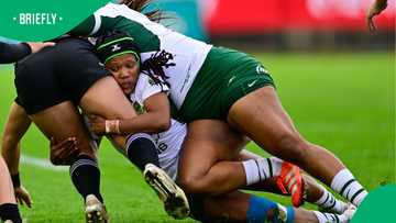 Springbok women receive heroes’ welcome after World Cup glory