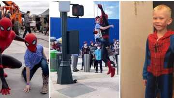 Spider-Man fan who saved little sister from brutal dog attack 'flies' with the real actor on set in cute video