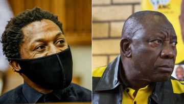 EFF's Ndlozi shades Ramaphosa over 'crusty' complexion, Mzansi has mixed reactions