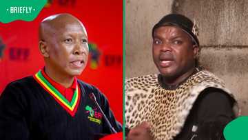 Ngizwe Mchunu and Julius Malema back in court months after public apology