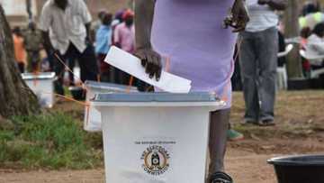 Uganda elections: Opposition strongholds record large voter turnout